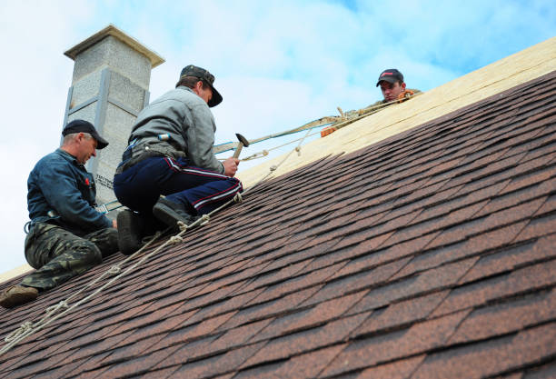 Best Storm Damage Roof Repair  in Danbury, TX